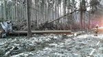 Czech Republic / World