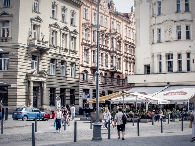 The Great Brno Expat Survey: The First Step in Shaping New Public Policies The Great Brno Expat Survey: The First Step in Shaping New Public Policies
