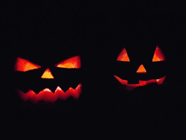 31/10 Halloween Comes to Vida Science Center at the End of This Month 31/10 Halloween Comes to Vida Science Center at the End of This Month