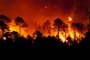 Vast Forest Fire Is Burning In České Švýcarsko National Park 