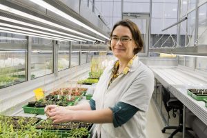 Researchers From CEITEC Are Investigating How Climate Change Affects Seed Development