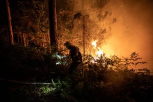 Government Allocates CZK 225 Million To Units Which Responded To Forest Fire In Hřensko