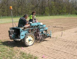 MENDELU Scientists Develop Technology To Improve Soil Absorption and Seed Germination