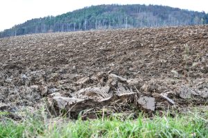 Czech Environmental Indicators Among Worst in EU