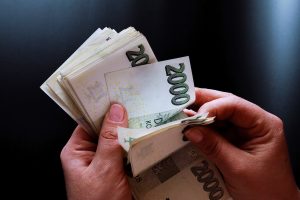 Czech Republic Lacks Effective Anti-Corruption Strategy, Says NGO Director